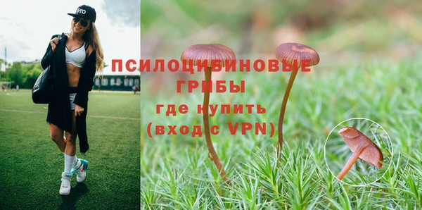 бошки Красноперекопск