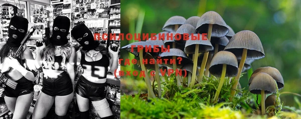 a pvp Краснотурьинск