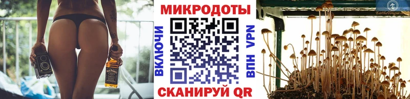 купить  цена  Ухта  Псилоцибиновые грибы GOLDEN TEACHER 
