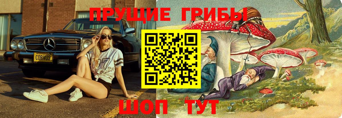 Ухта  наркошоп  Вход с VPN  Псилоцибиновые грибы Cubensis 